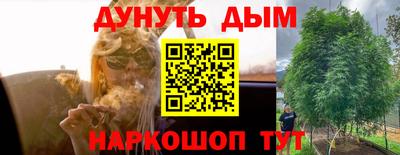 индика Чапаевск