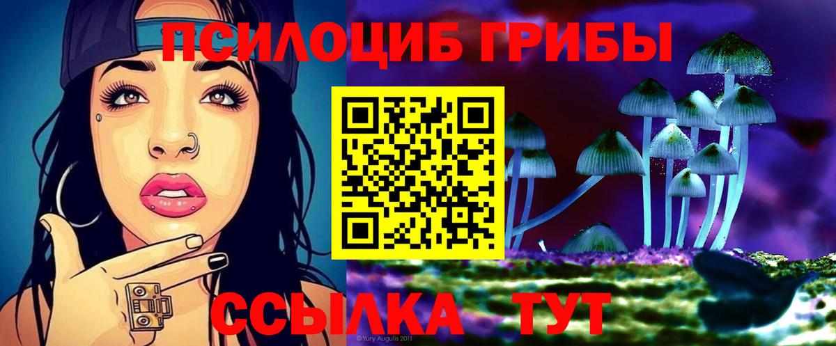Кумертау  Галлюциногенные грибы Psilocybine cubensis  Вход с VPN 