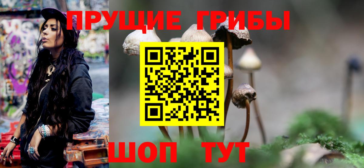 Псилоцибиновые грибы Psilocybine cubensis Кумертау